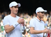 开云体育在线-欧洲网球队绝杀意大利网球队，穆雷统治全场的简单介绍