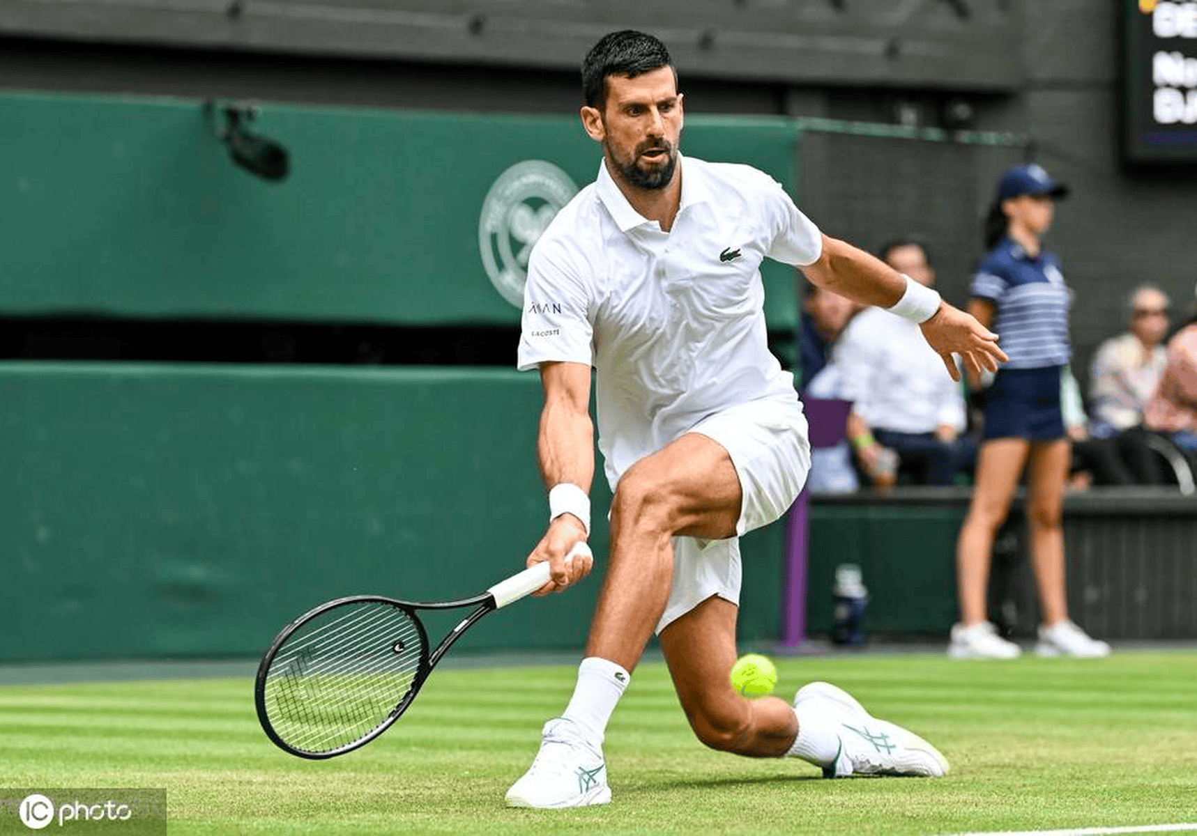 关于年终总决赛碾压温网,德约科维奇刷新纪录的信息 关于年终总决赛碾压温网,德约科维奇刷新纪录的信息