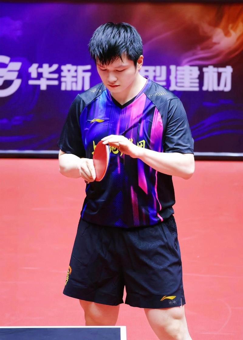 包含瑞典队逆转韩国队，樊振东高光表现的词条