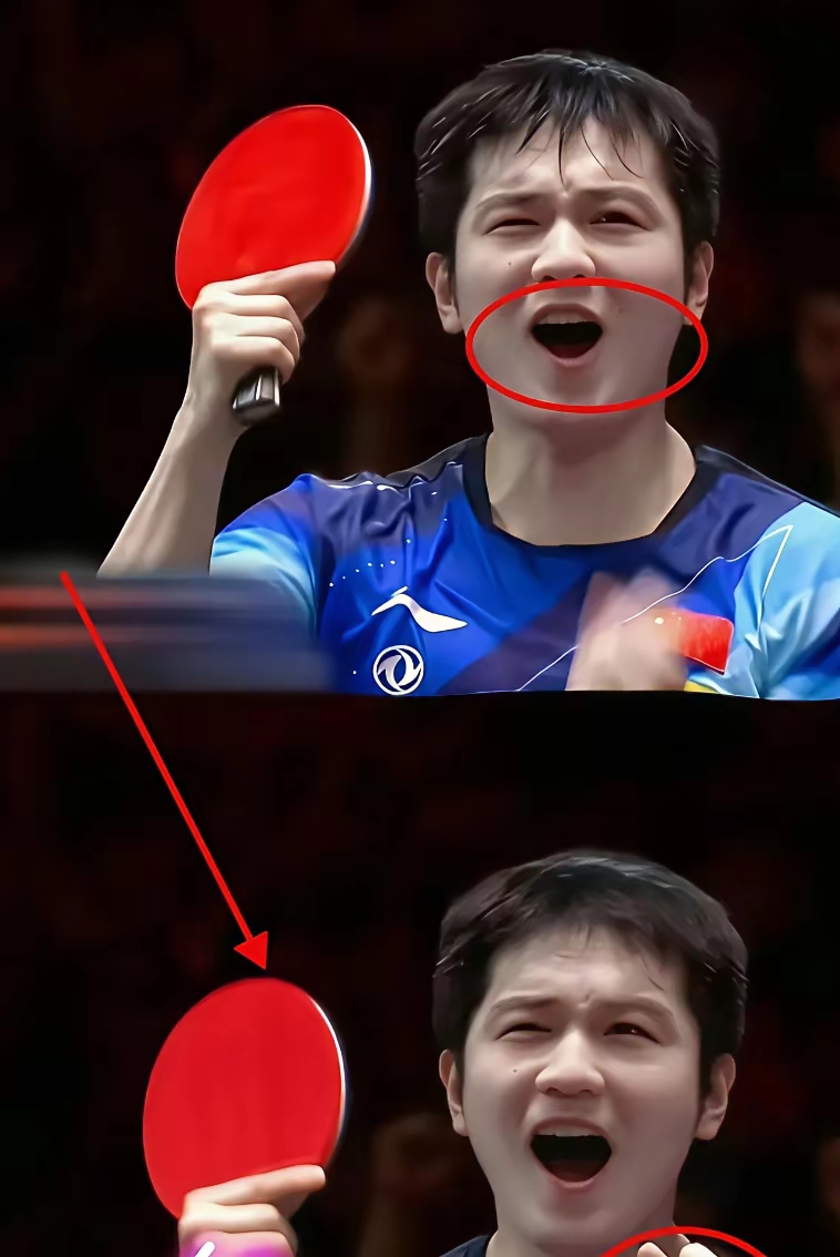 包含瑞典队逆转韩国队，樊振东高光表现的词条