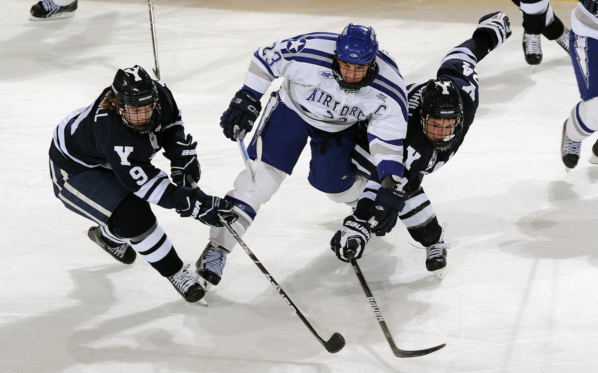 年度焦点之战之夜，库尔图瓦稳定输出不掉线